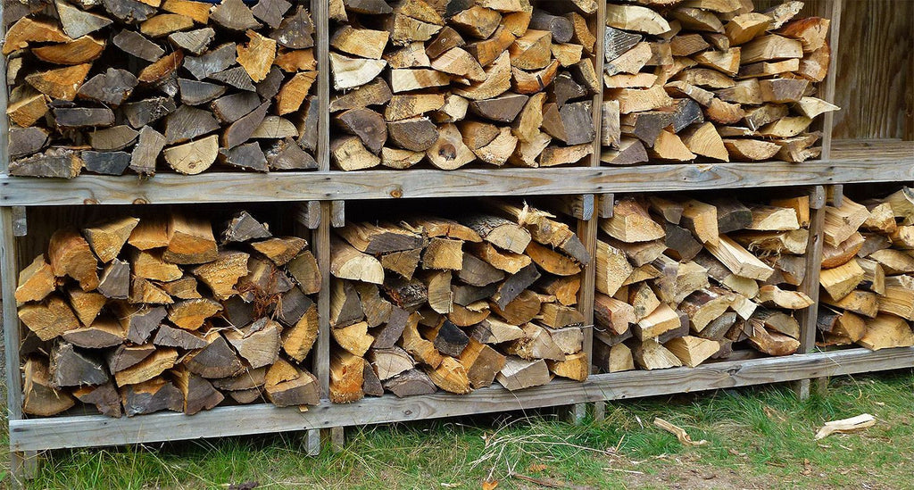 11 Best Types Of Firewood For Your Fireplace